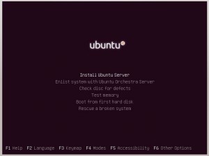 gubuntu-install-1 gubuntu install 1 300x224 Crea tu propio Gubuntu, Ubuntu con Gnome Shell