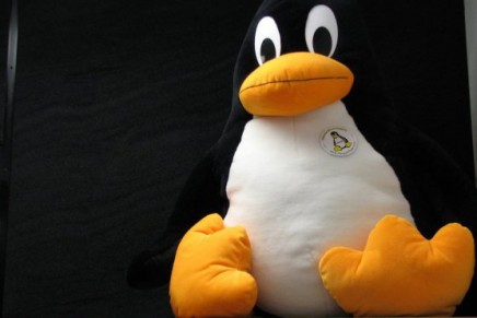 Feliz 30 no cumpleaños Linux